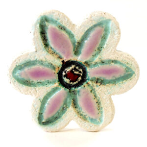 FIORE CALAMITA - immagine 2