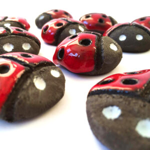 COCCINELLA CALAMITA - immagine 2
